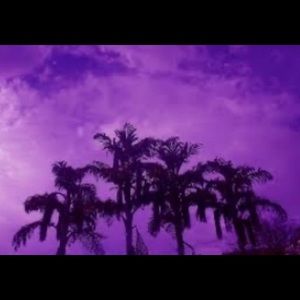 Meet your Posher, Jayden